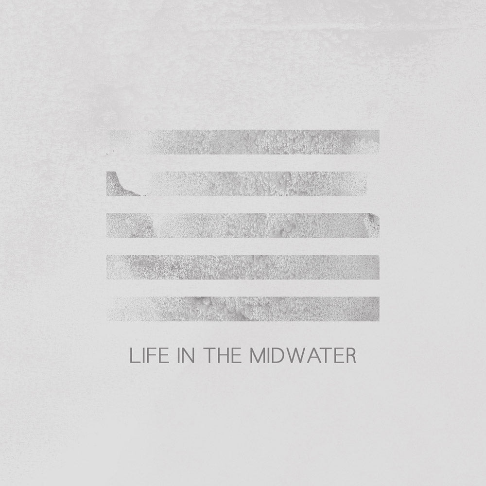 Aisha Burns - Life In The Midwater
