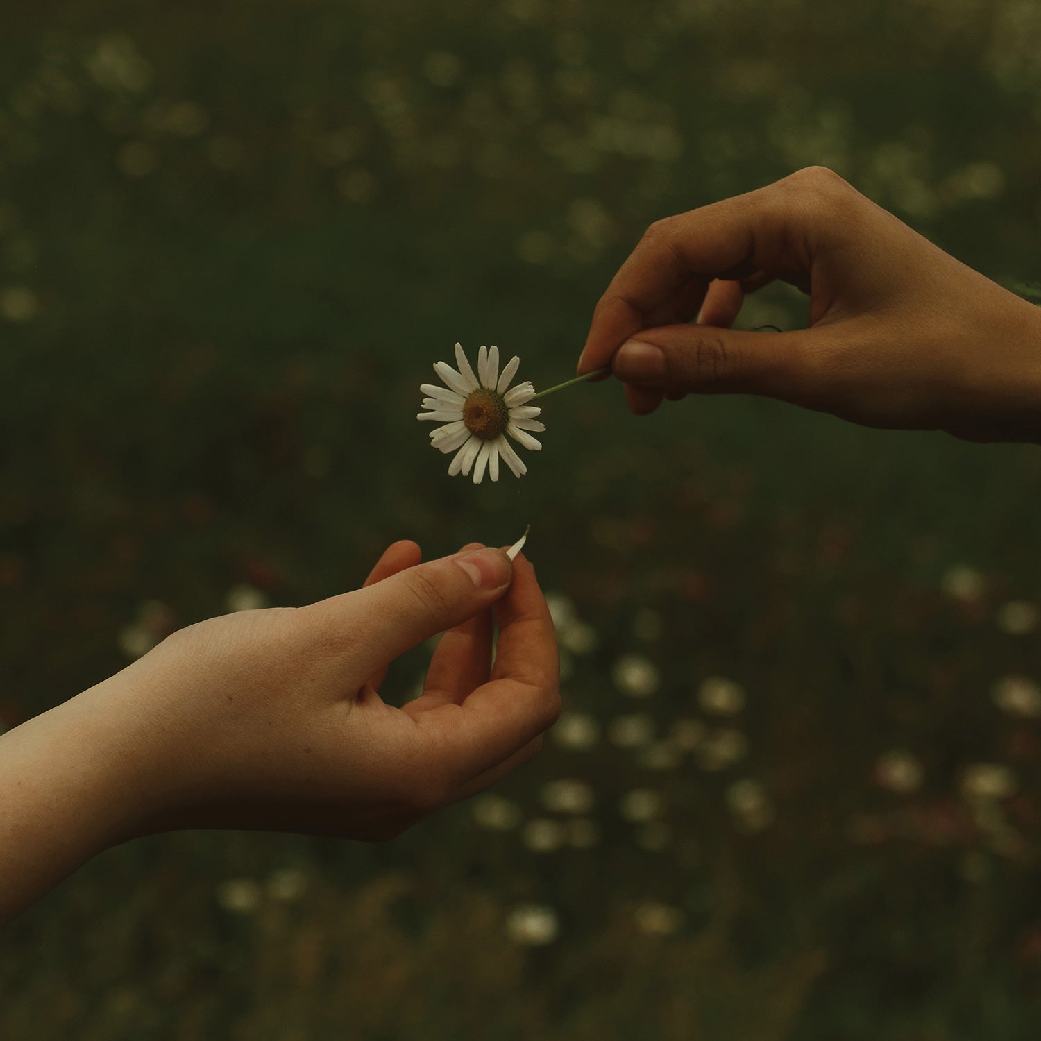Goldmund - The Time It Takes